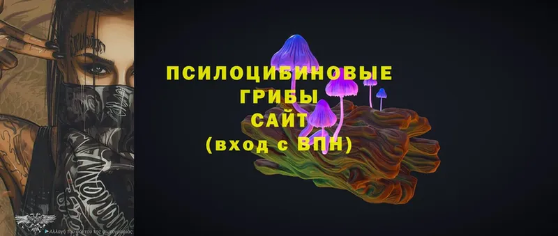 Галлюциногенные грибы Magic Shrooms  Слюдянка 